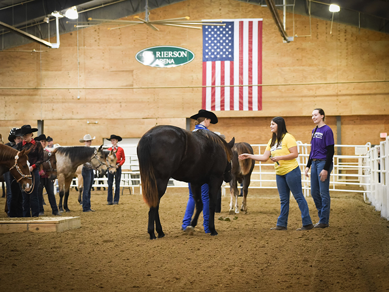 Photo of the inside of Ellsworth Equestrian Center. Students gathered with horses in arena during student show. 