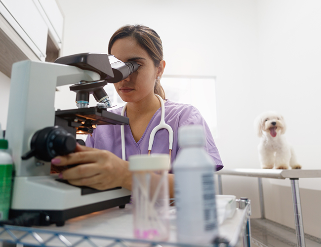 student in science lab with dog